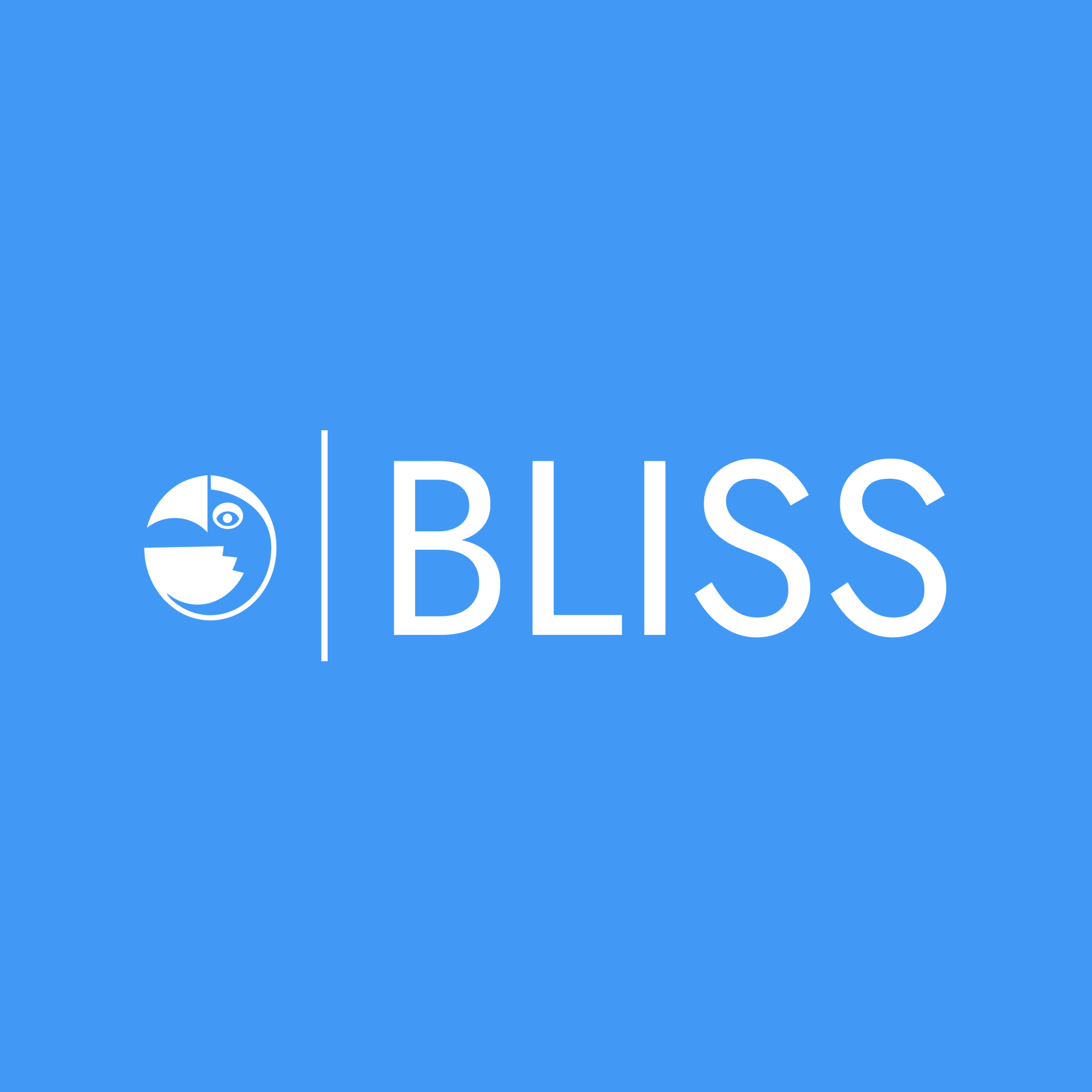 BLISS - Boston LLMs Initiative for Social Sciences